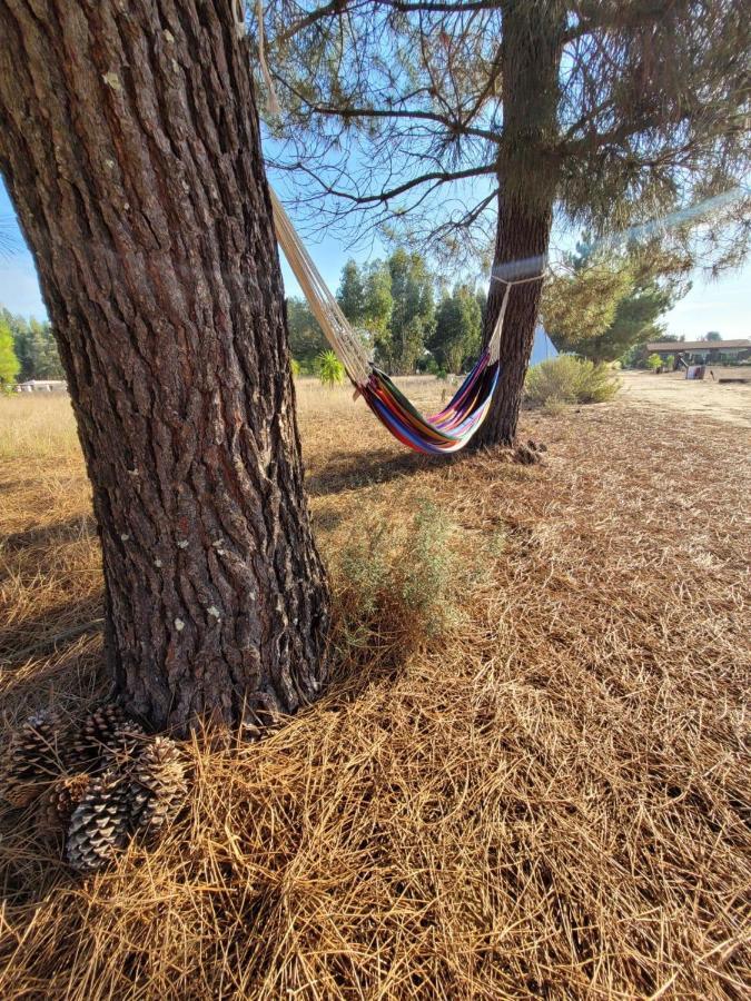 Отель Goodmuda Tipi'S Грандола Экстерьер фото